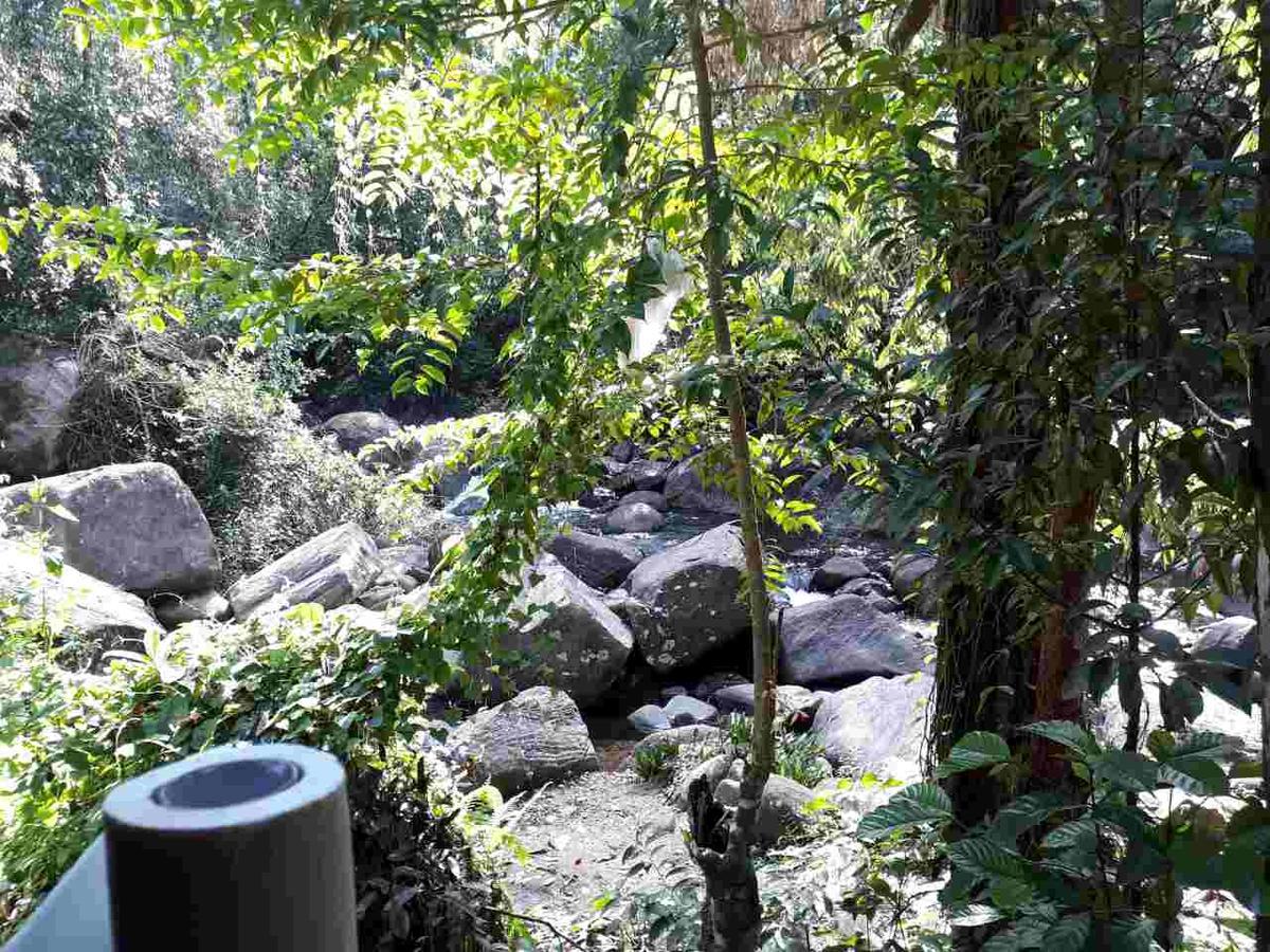 Girankiththa Eco Resort Kitulgala Luaran gambar