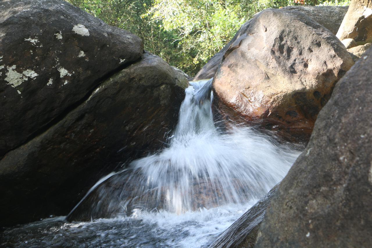 Girankiththa Eco Resort Kitulgala Luaran gambar